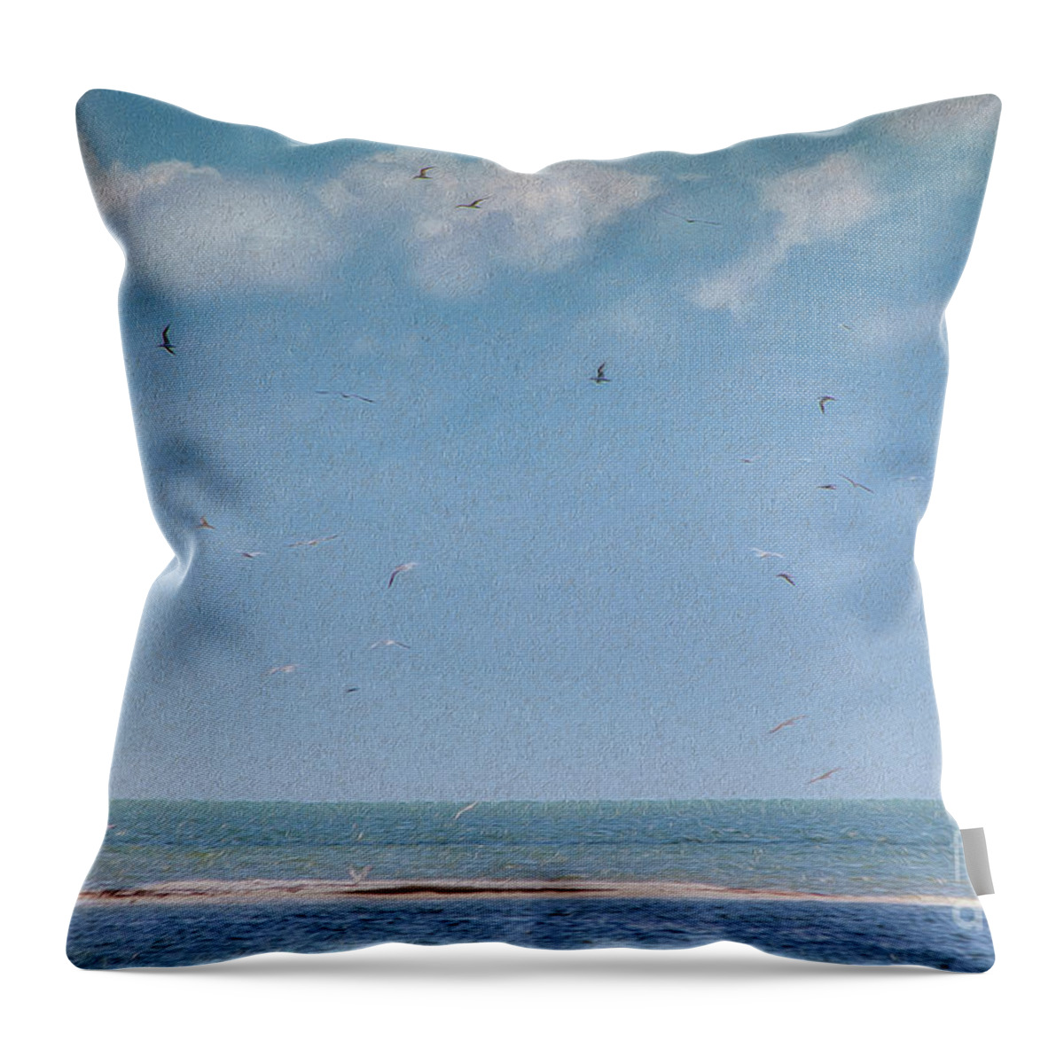Blue Sky Throw Pillow featuring the photograph The Sandbar by Patti Powers