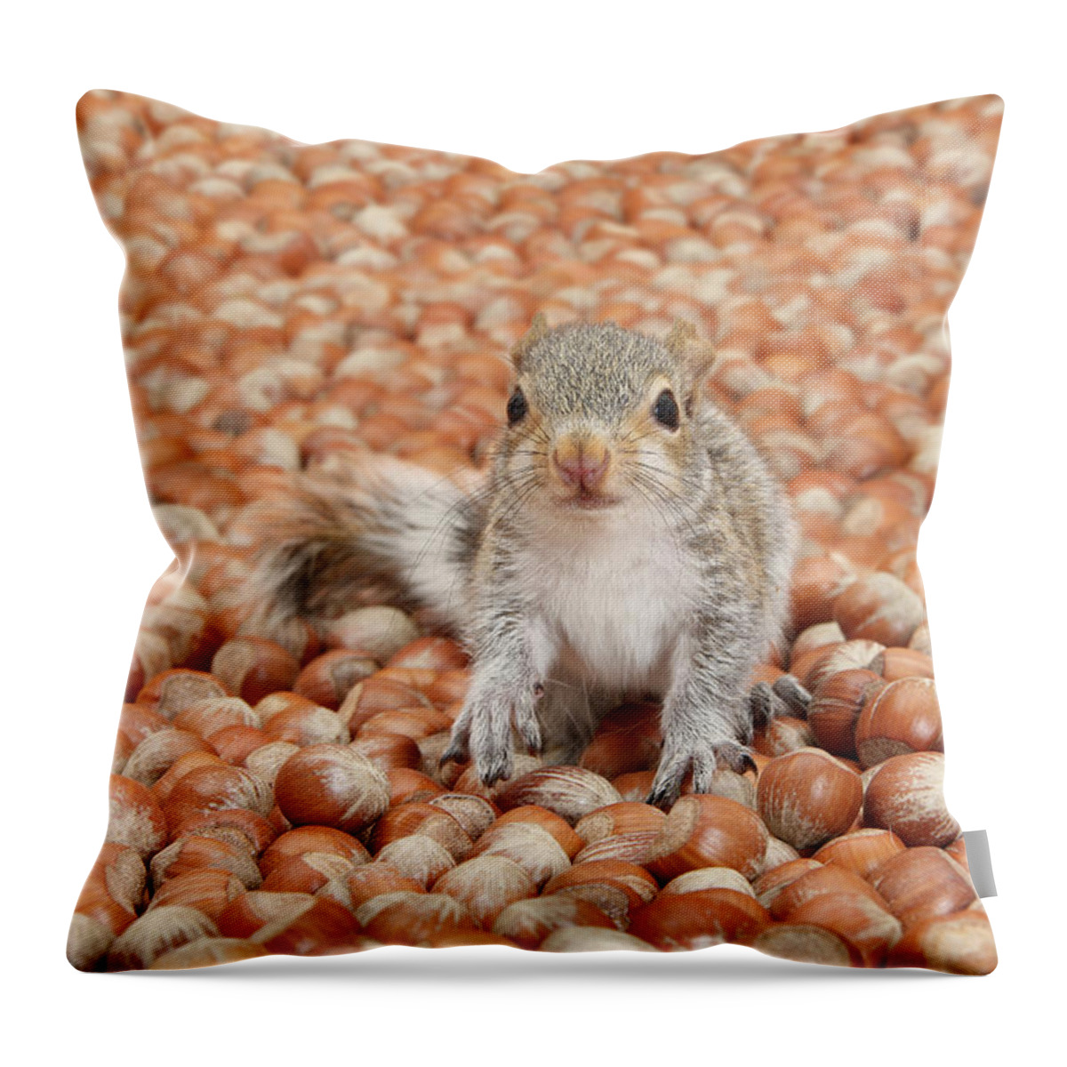 Young Grey Squirrel Throw Pillow featuring the photograph The sea of Nuts by Warren Photographic