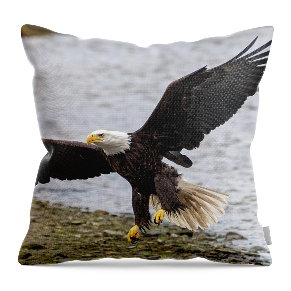 Eagle Throw Pillow featuring the photograph The Spread by David Kirby