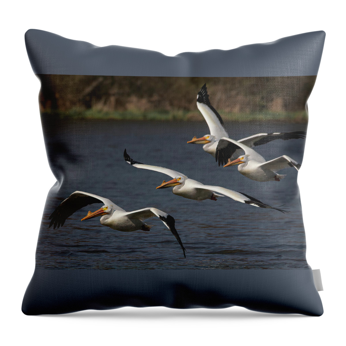 Lake Bloomington Throw Pillow featuring the photograph The Squadron by Ray Silva