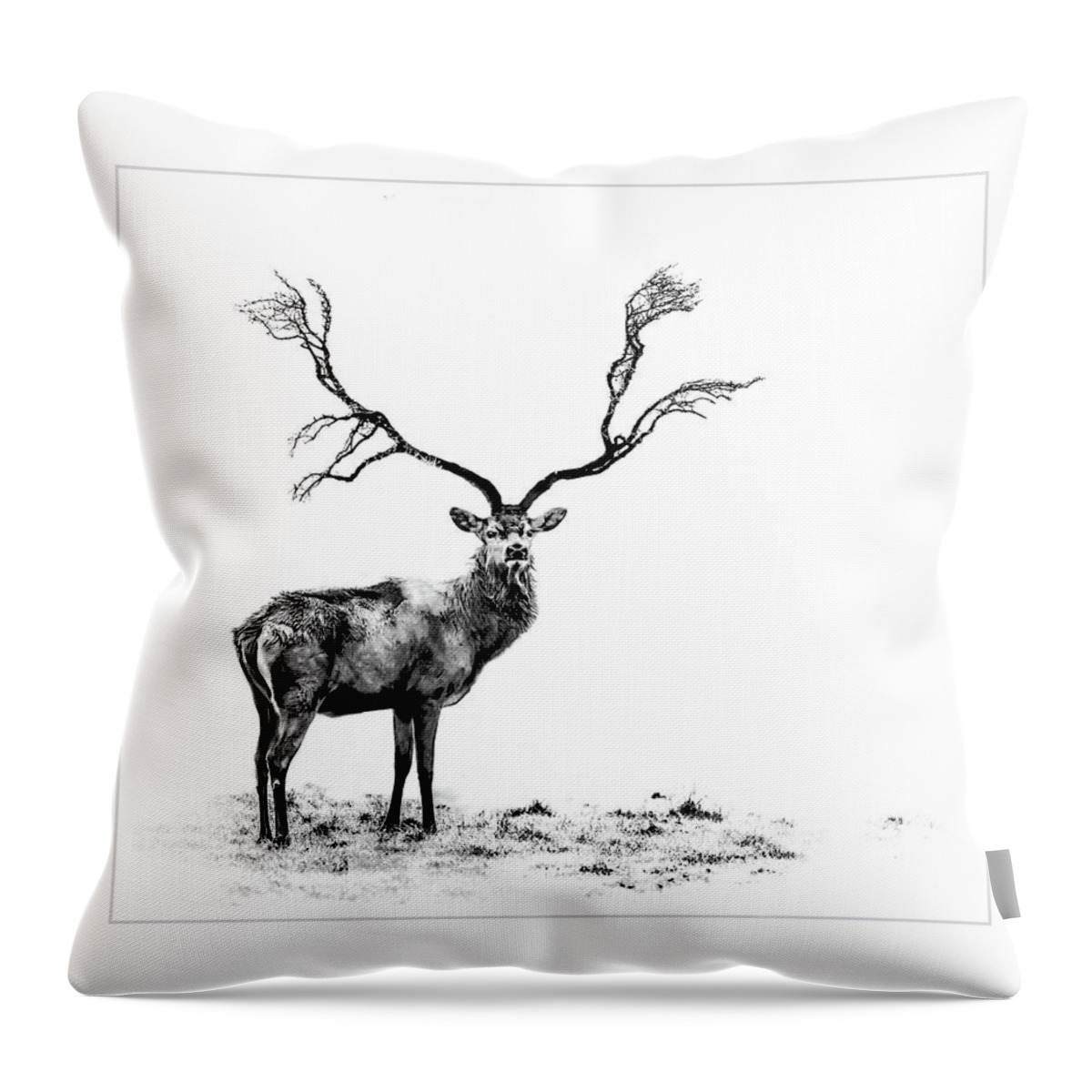 Stage Throw Pillow featuring the photograph The Stag by Andrea Kollo