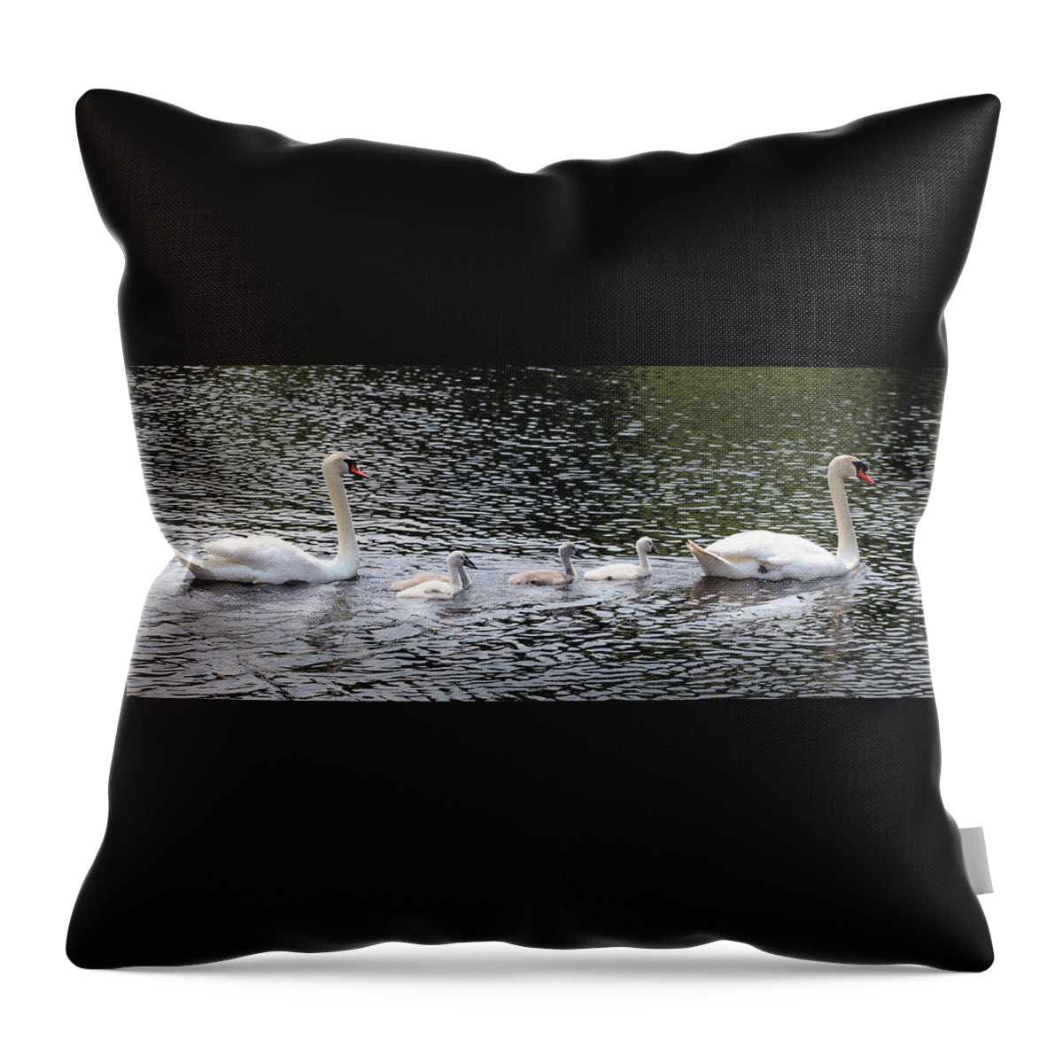 Swan Family Throw Pillow featuring the photograph The Swan Family by David T Wilkinson