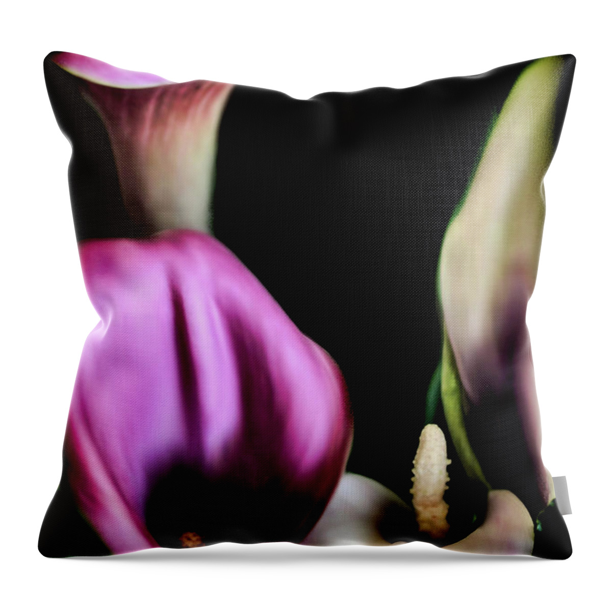 Calla Lilies Throw Pillow featuring the photograph The Three Calla Lilies by Sally Bauer