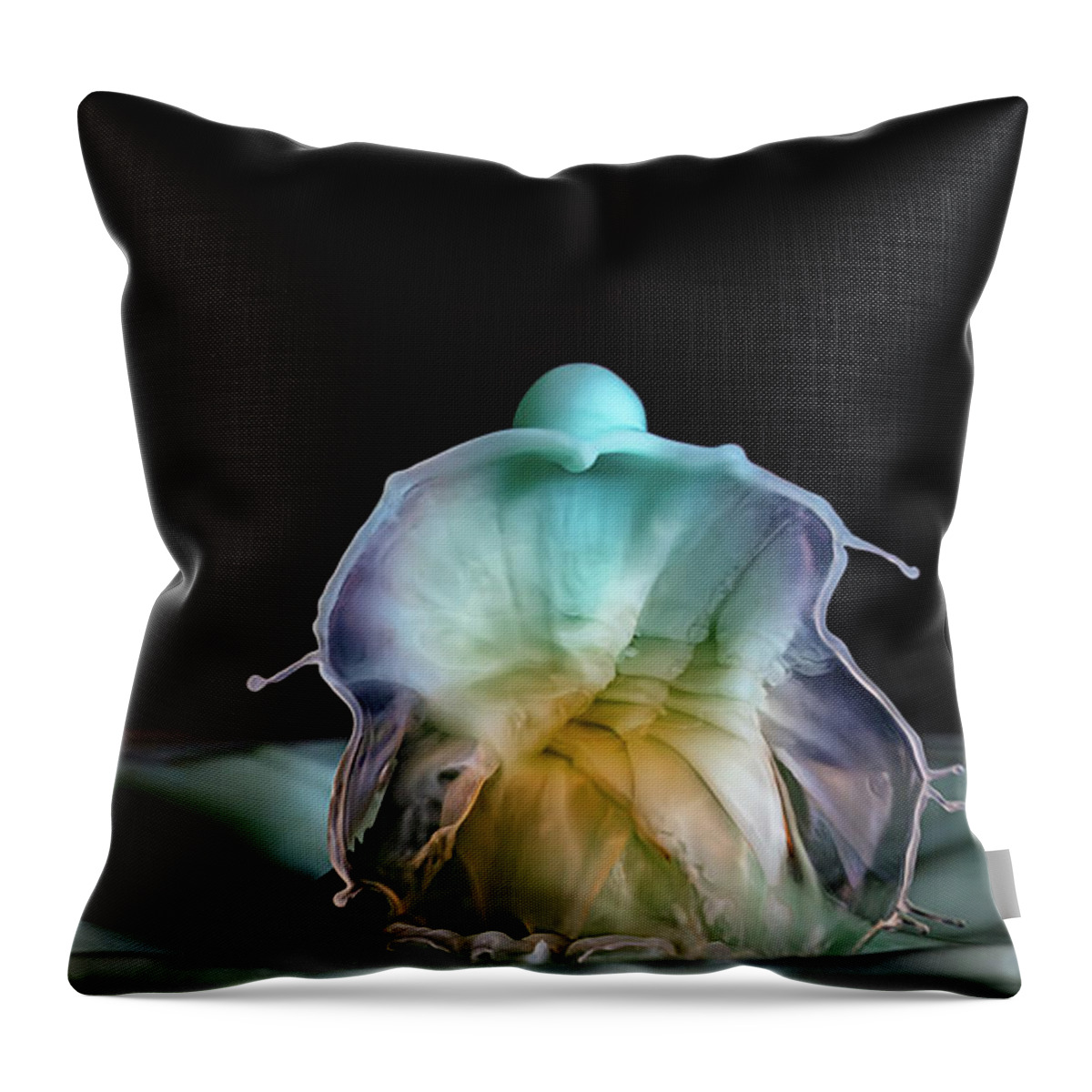 Art Throw Pillow featuring the photograph The Throne by Michael McKenney