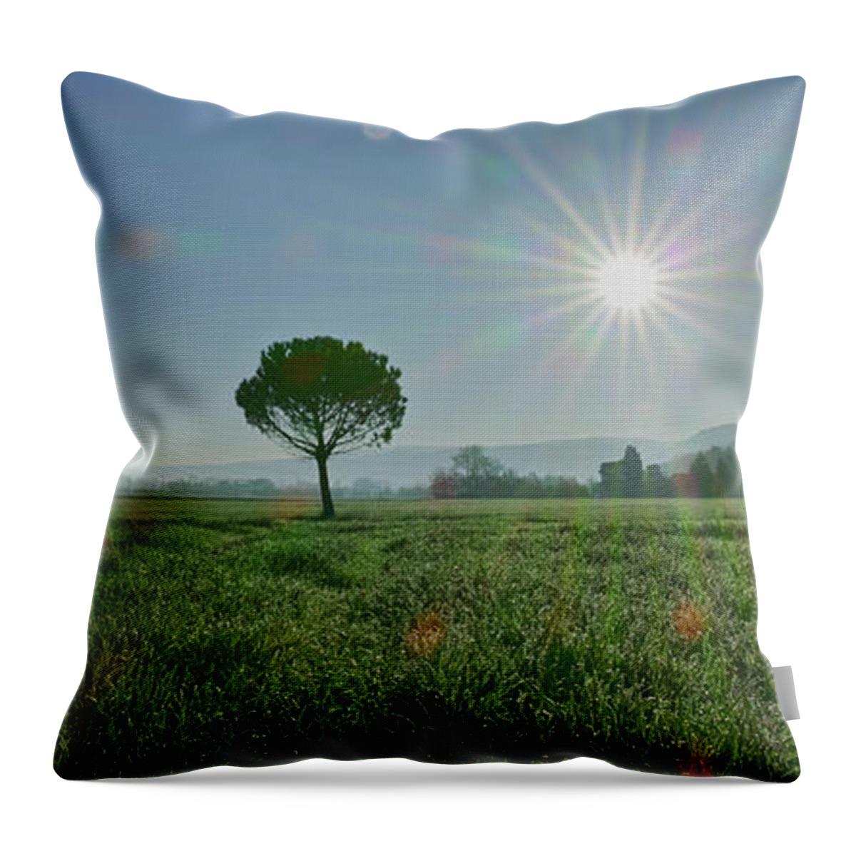 Landscape Throw Pillow featuring the photograph The time for festivities by Karine GADRE