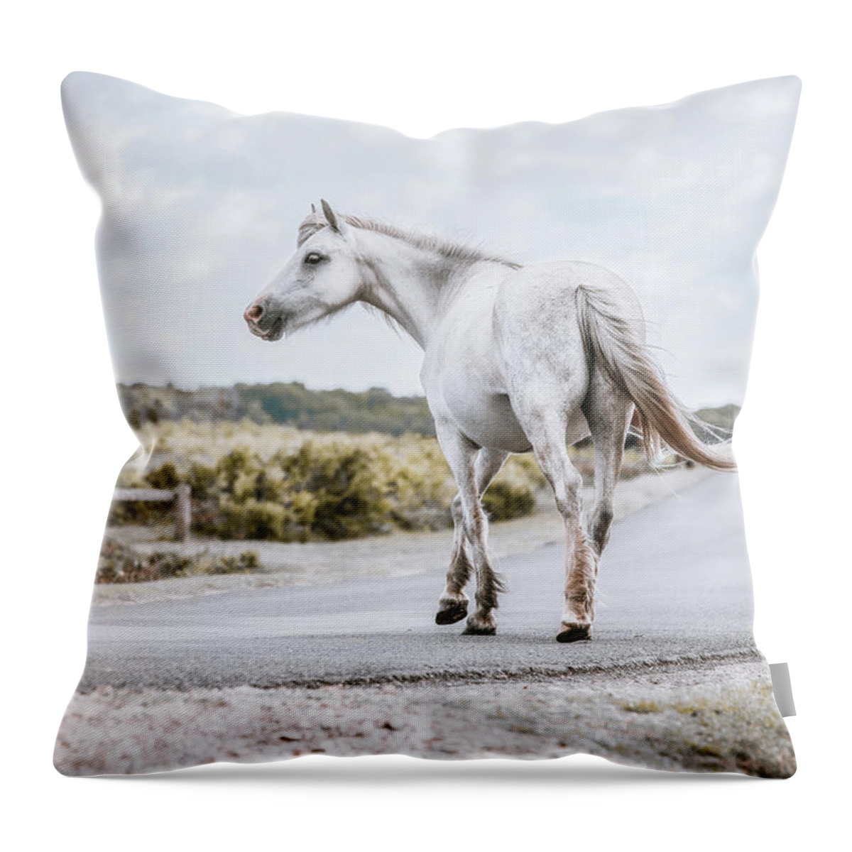 Horse Throw Pillow featuring the photograph The Time to Choose - Horse Art by Lisa Saint