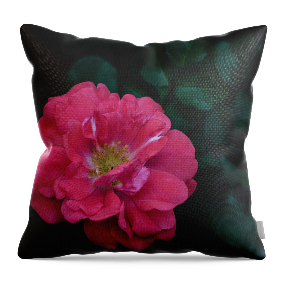 Flowers & Plants Throw Pillow featuring the painting The Tiny Rose by Adam Johnson