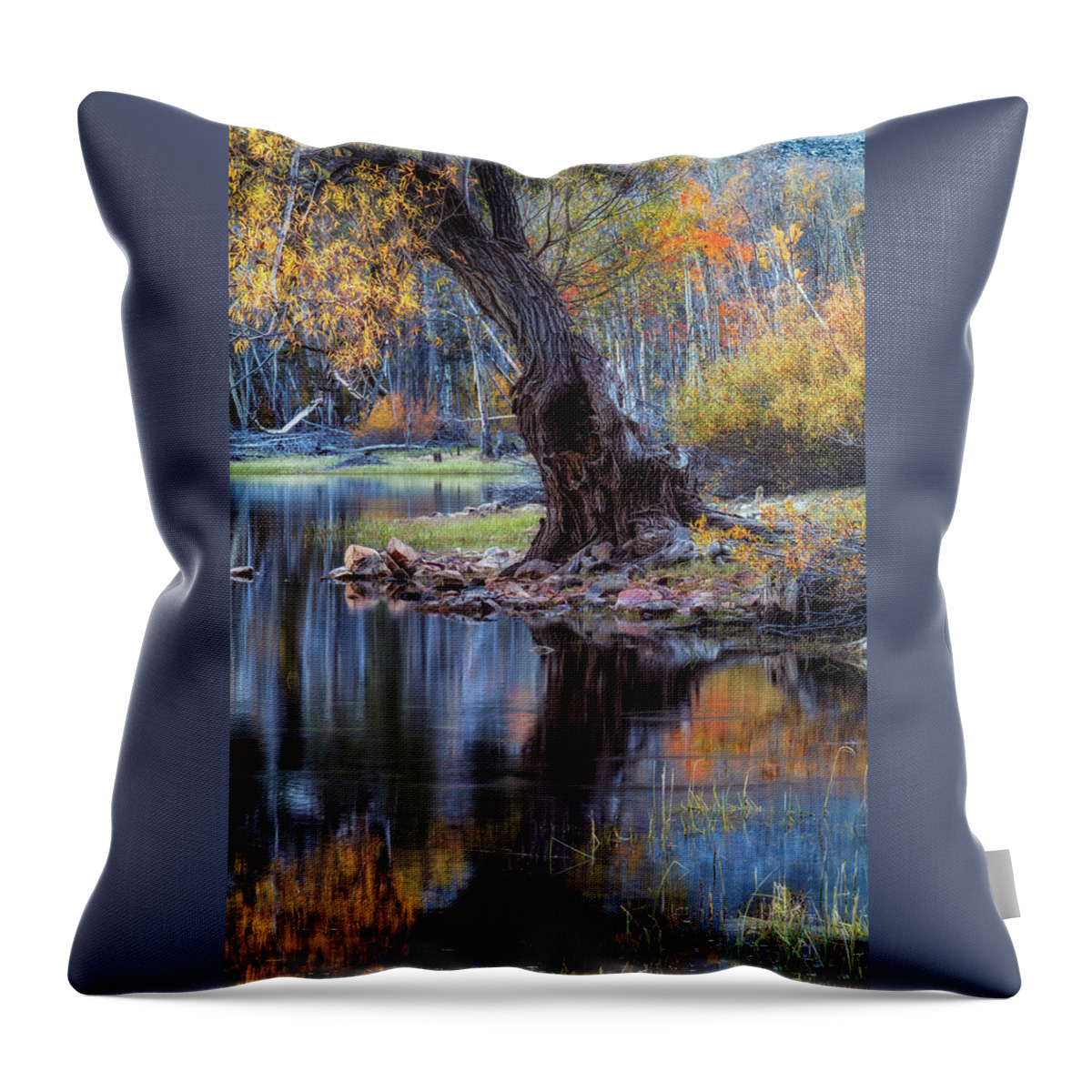 Beach Throw Pillow featuring the photograph The Tree at Lundy Lake by Laura Roberts