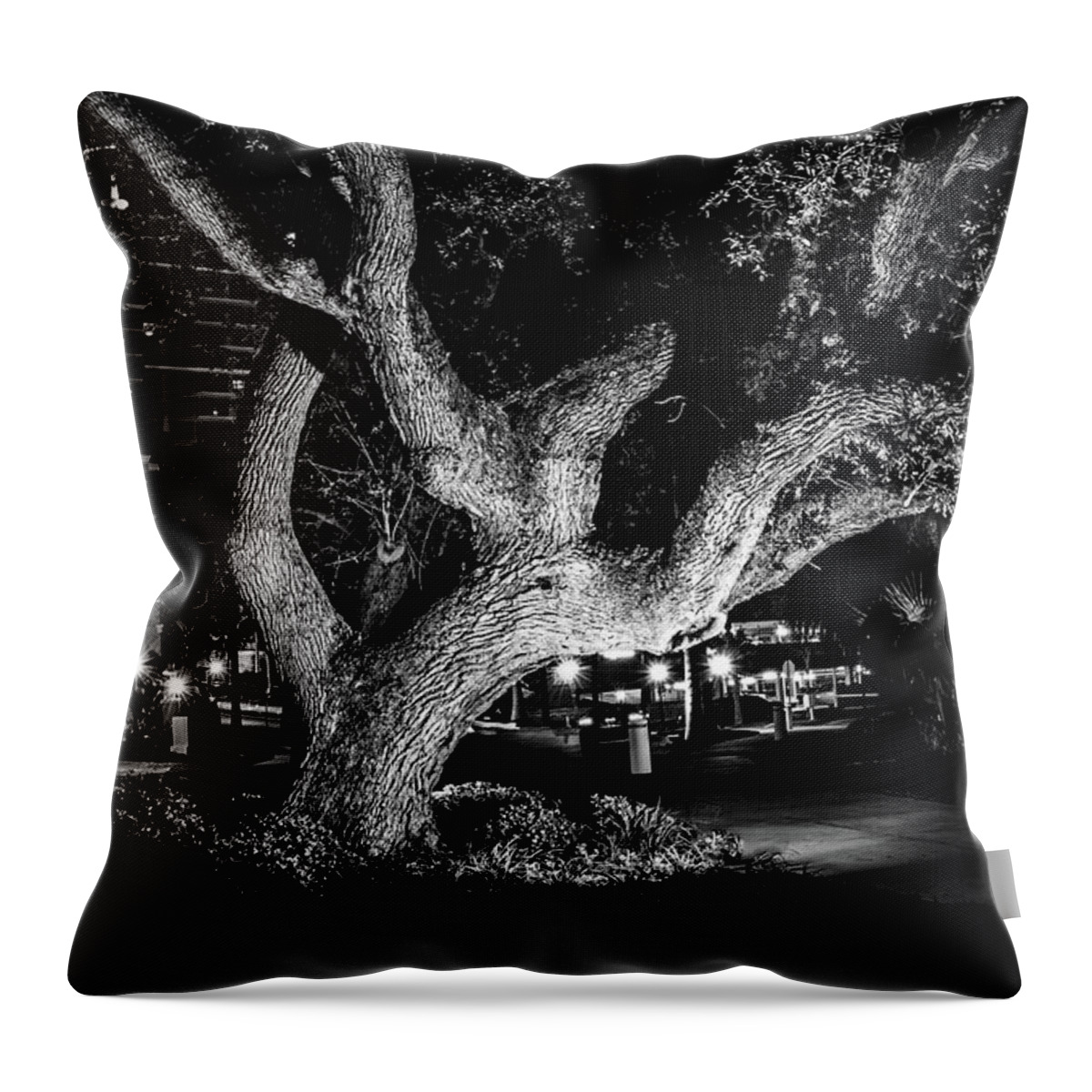 Art Throw Pillow featuring the photograph The Tree of Life by Louis Dallara