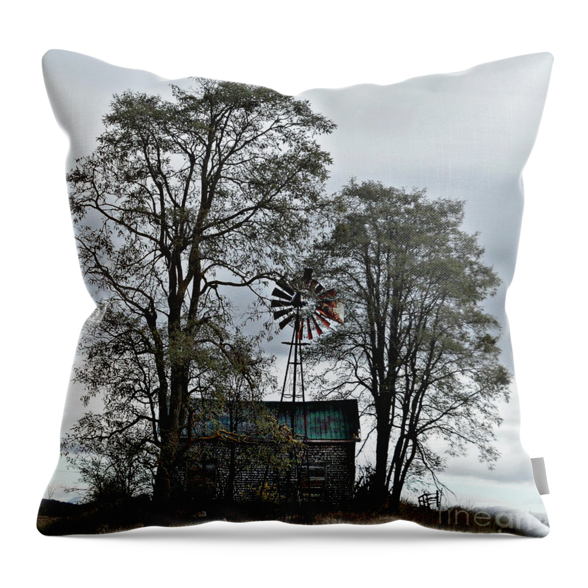 The Ultimate Find Throw Pillow featuring the photograph The Ultimate Find by Cyryn Fyrcyd