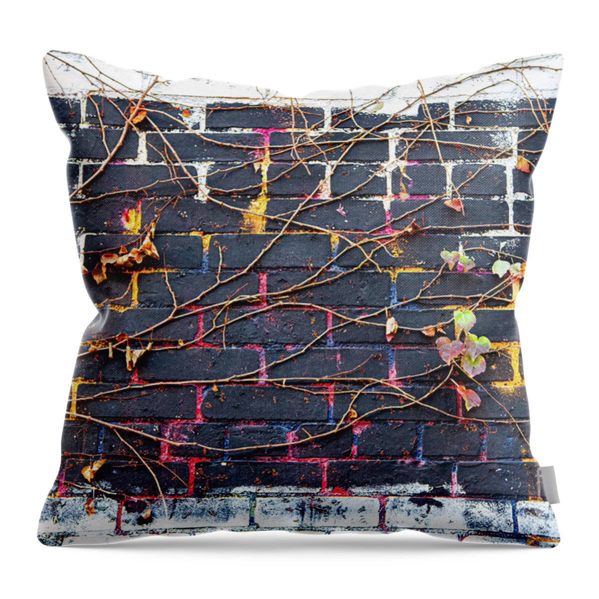 Abstracts Throw Pillow featuring the photograph The Underpainter by Marilyn Cornwell