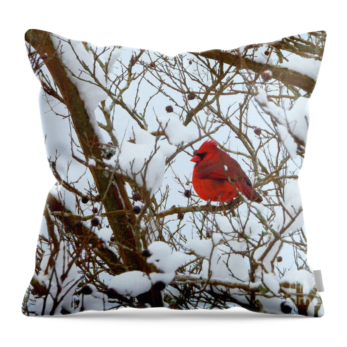 Cardinal Throw Pillow featuring the photograph The Virginia State Bird by Scott Cameron