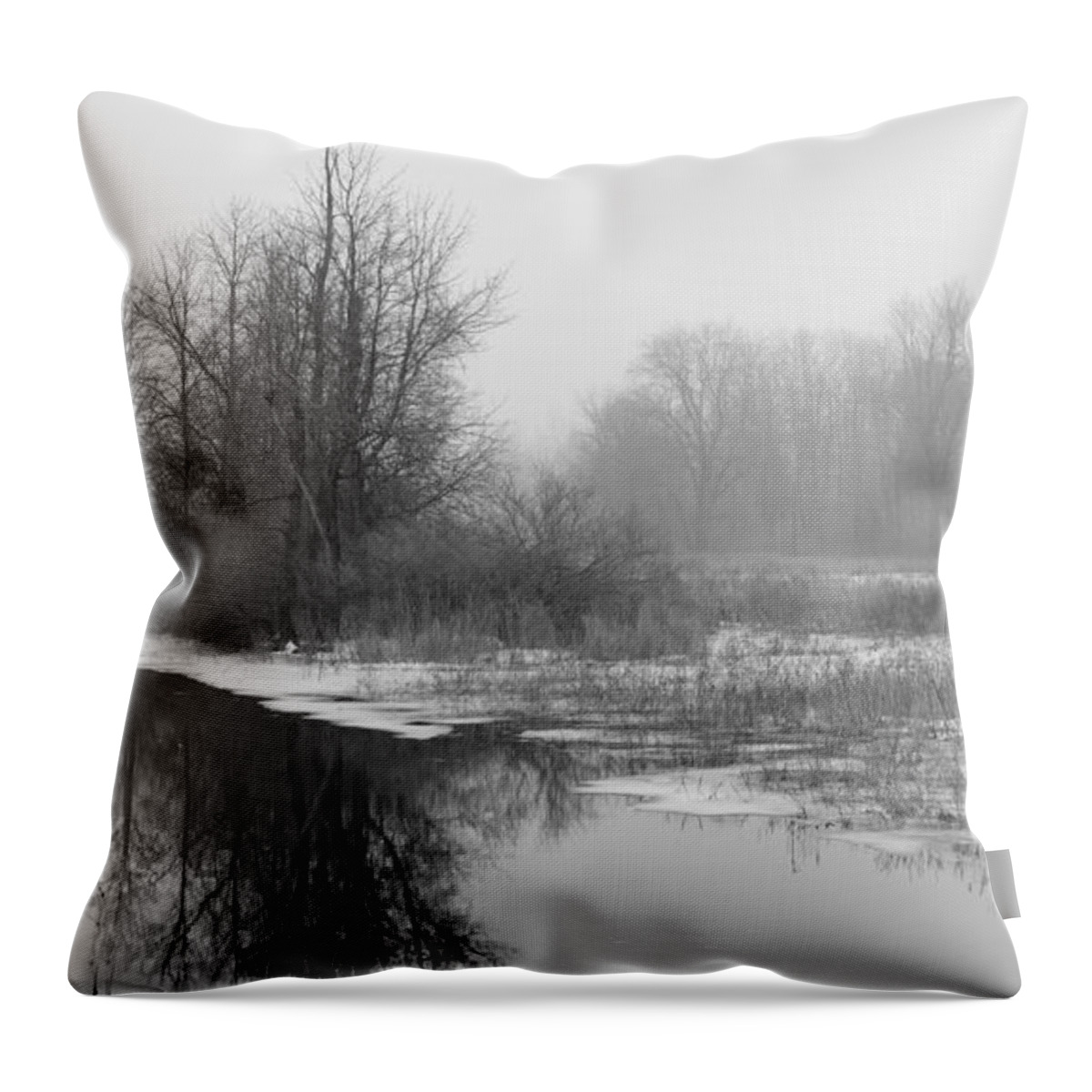 Fog Niebla Throw Pillow featuring the photograph The Waiting Fog by fototaker Tony