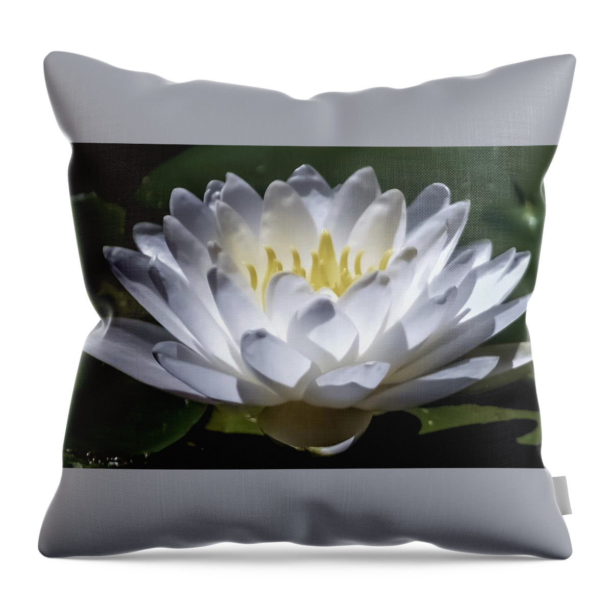 Purity Throw Pillow featuring the photograph The White Lotus by Christina McGoran