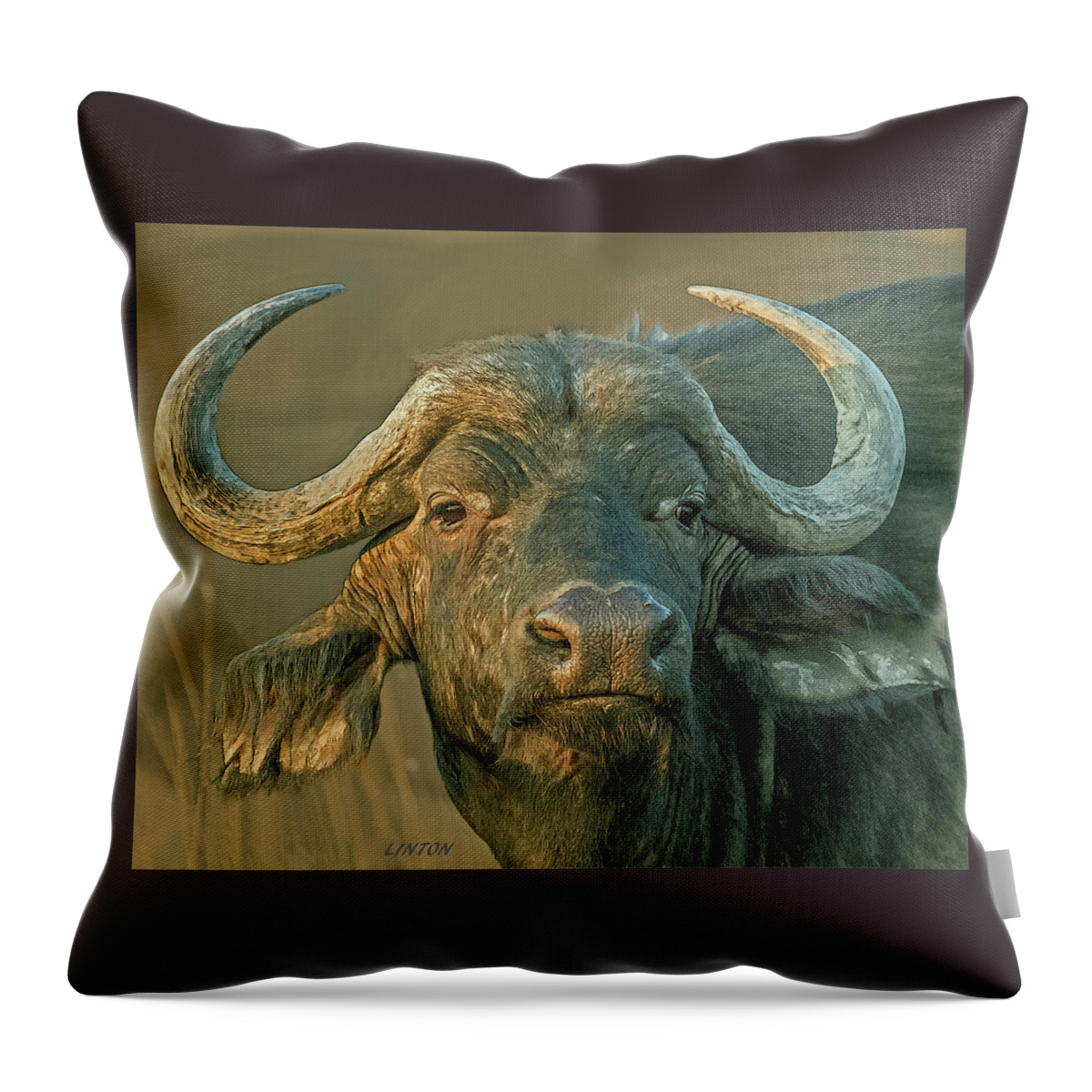 African Cape Buffalo Throw Pillow featuring the digital art The Widow Maker by Larry Linton