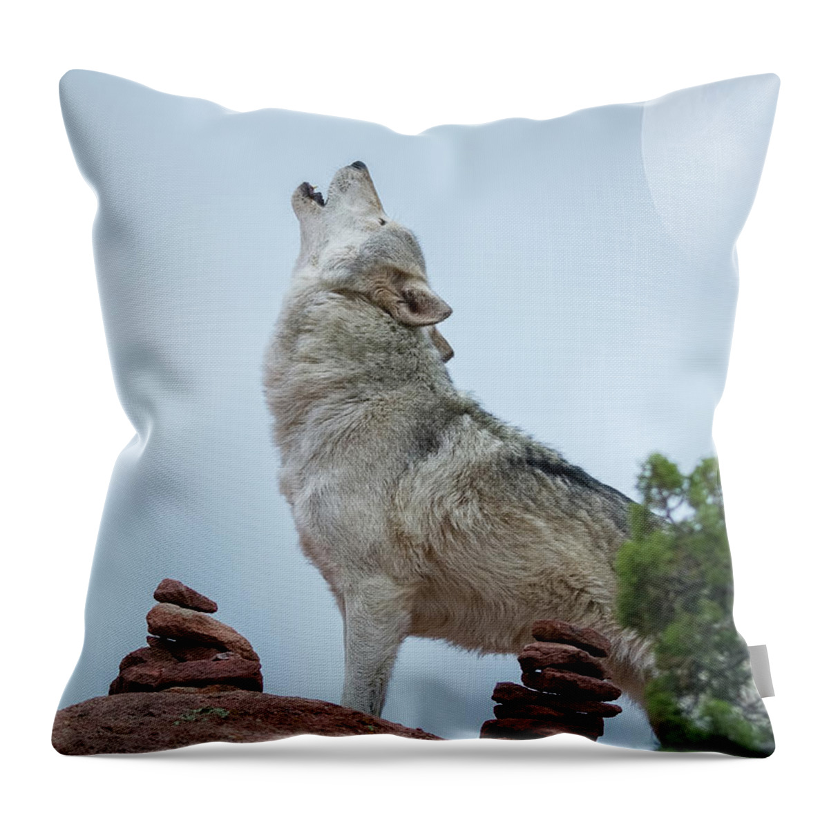 Wolves Rescued Throw Pillow featuring the photograph The Wolf, Ghost by Vicki Stansbury
