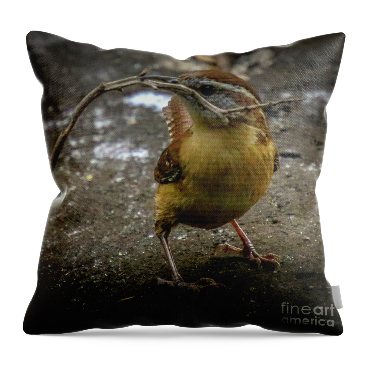Wren Throw Pillow featuring the photograph The Wren Is A Family Wren by Philip And Robbie Bracco