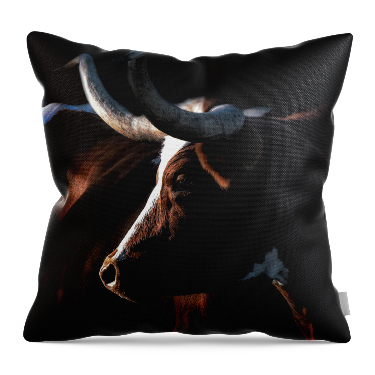 Longhorn Throw Pillow featuring the photograph Thelma by Pamela Steege