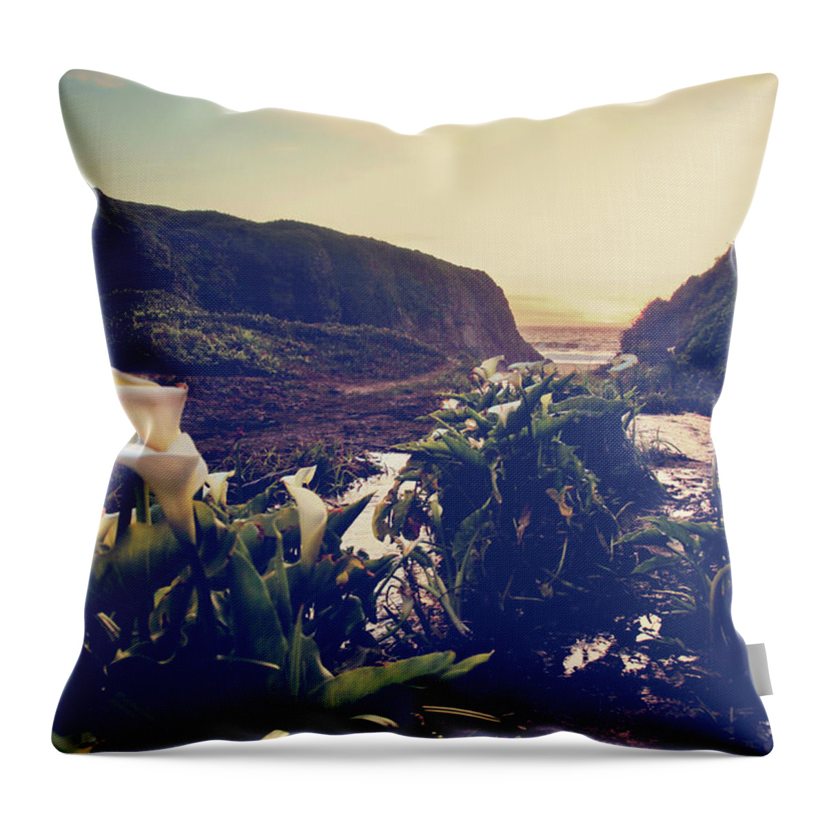 Garrapata State Beach Throw Pillow featuring the photograph There is Harmony by Laurie Search