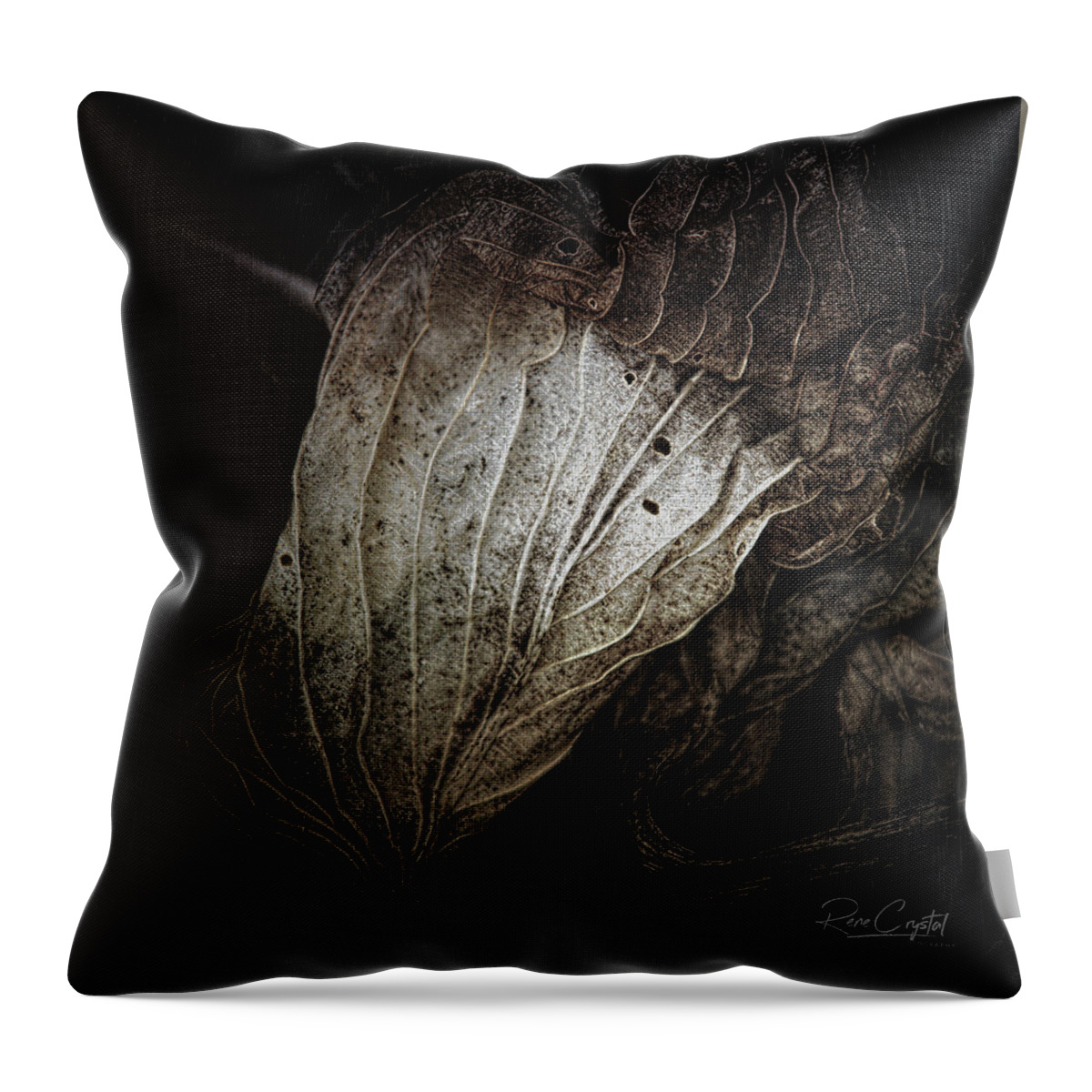 Hosta Throw Pillow featuring the photograph There's Beauty In the Ending, Too by Rene Crystal