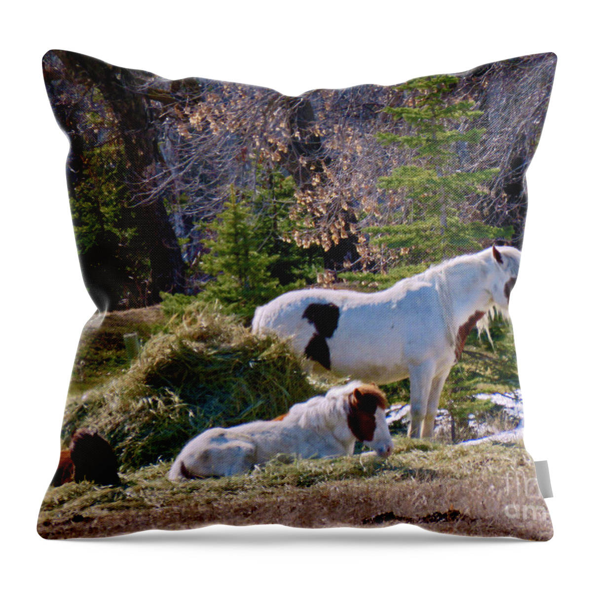 Canada Throw Pillow featuring the photograph There's Three by Mary Mikawoz