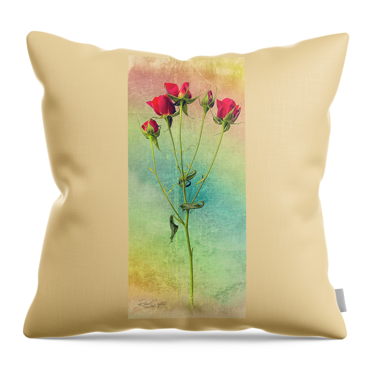 Roses Throw Pillow featuring the photograph These Roses Are For You by Rene Crystal