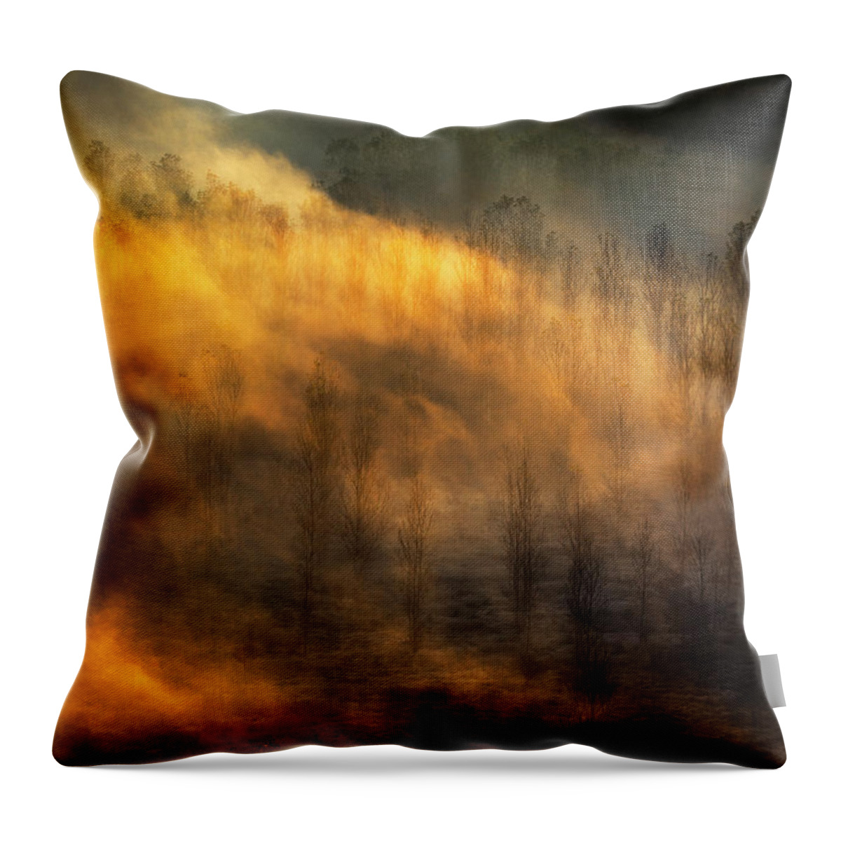Bulgaria Throw Pillow featuring the photograph Thin Forest by Evgeni Dinev