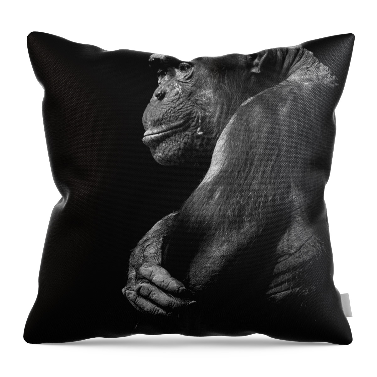 Chimp Throw Pillow featuring the photograph Thinking by Bill Cubitt