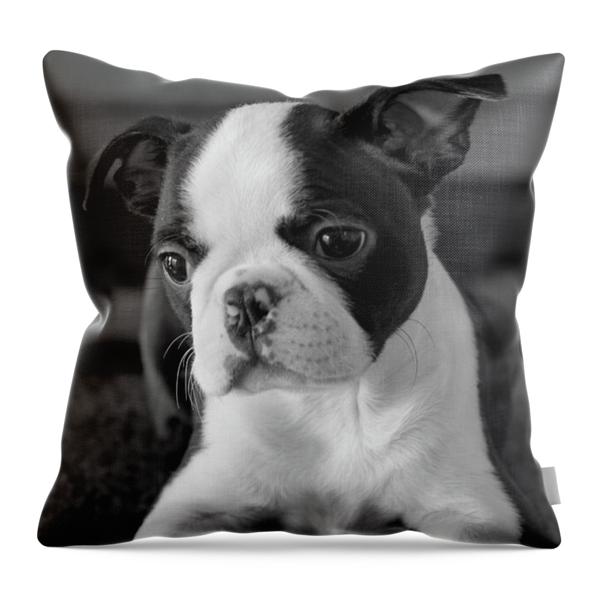 Puppy Throw Pillow featuring the photograph Thinking of You by Alana Thrower