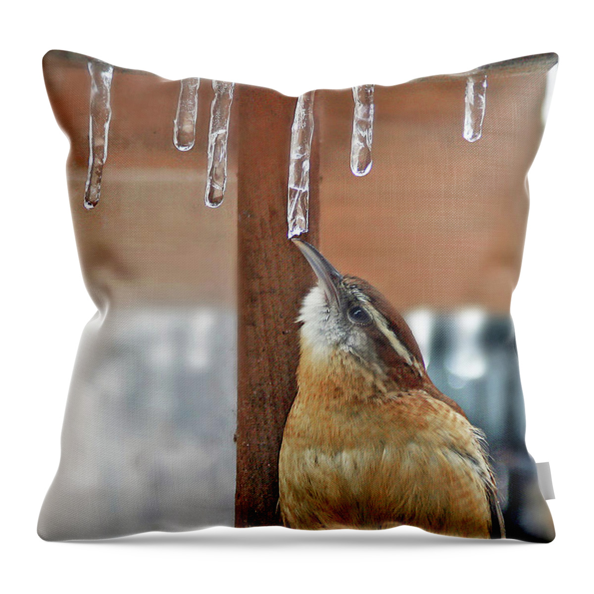 Nature Throw Pillow featuring the photograph Thirsty by Gina Fitzhugh