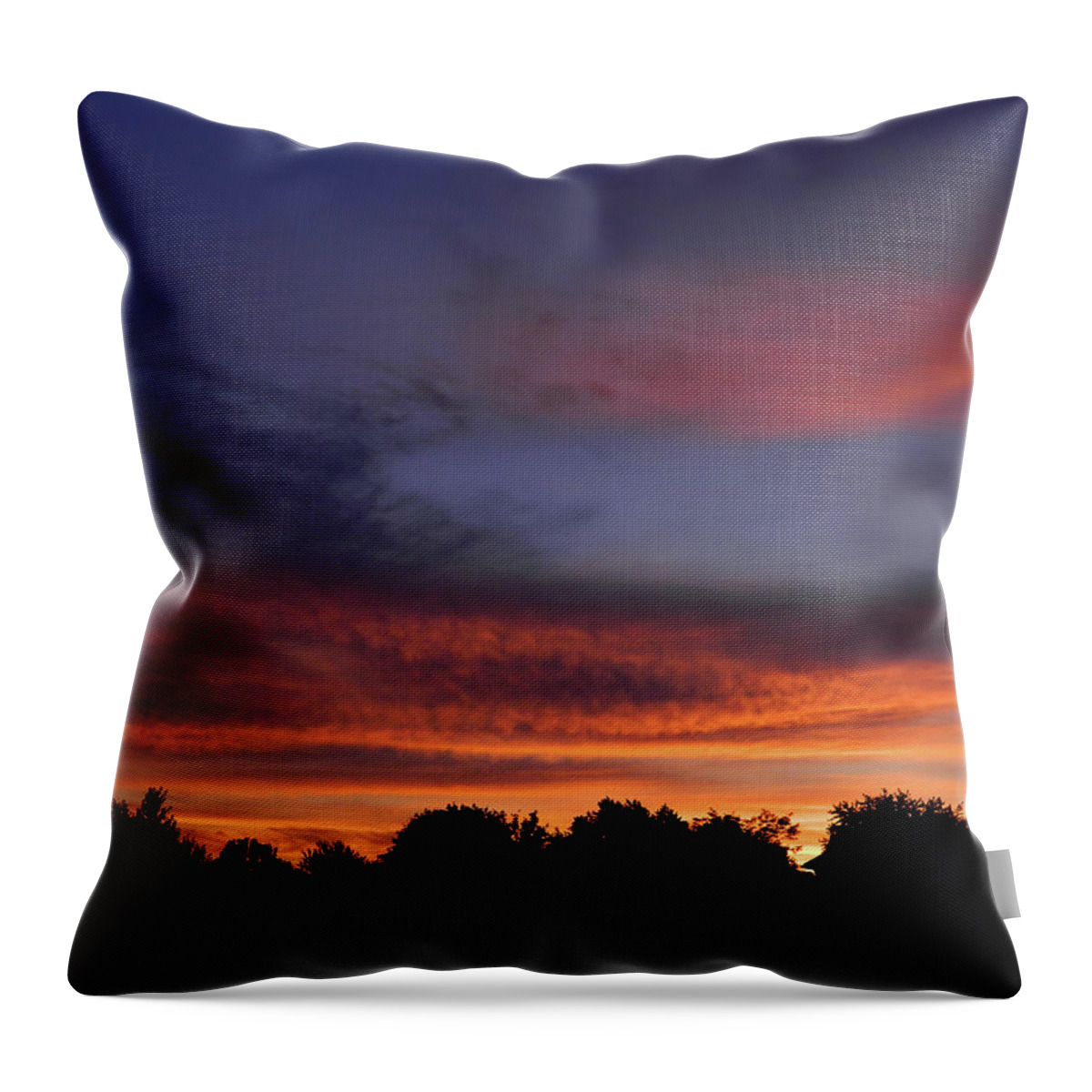 This Morning Throw Pillow featuring the photograph This Morning 7 by Cyryn Fyrcyd