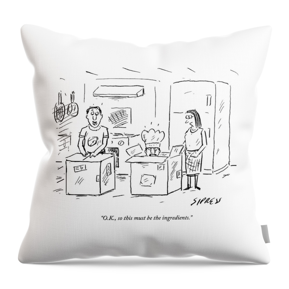 This Must Be The Ingredients Throw Pillow