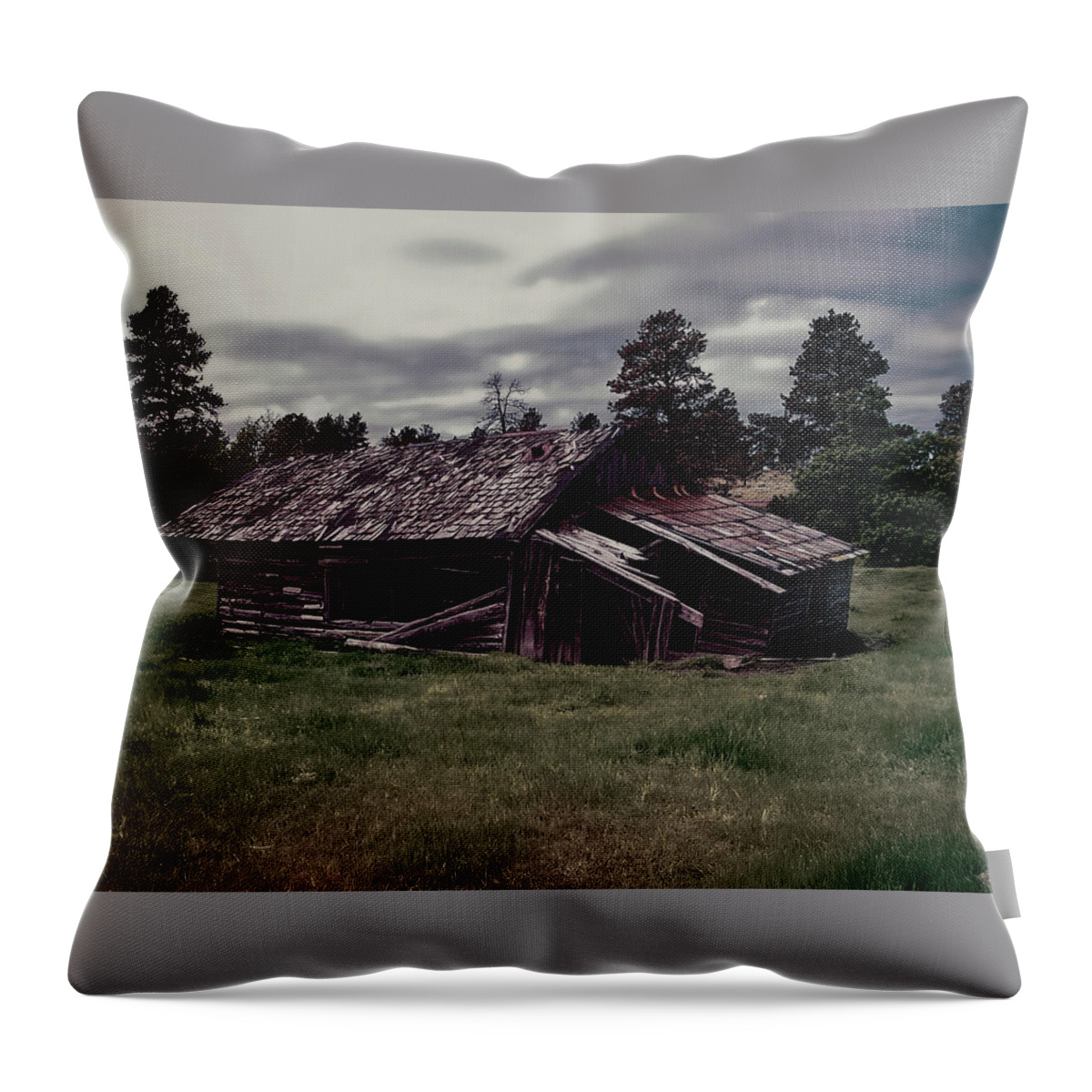 Cabin Throw Pillow featuring the photograph This old cabin matte by Cathy Anderson