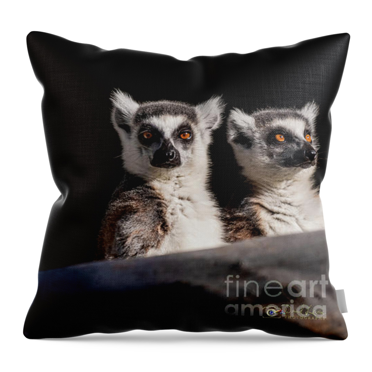 David Levin Photography Throw Pillow featuring the photograph This Spot's for You by David Levin