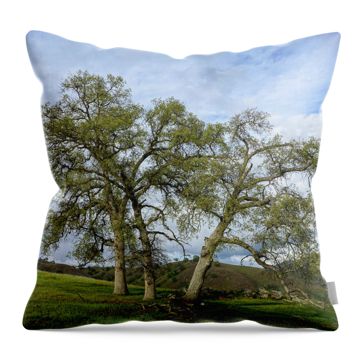 Oak Tree Throw Pillow featuring the photograph Three Oaks Yokohl Valley by Brett Harvey