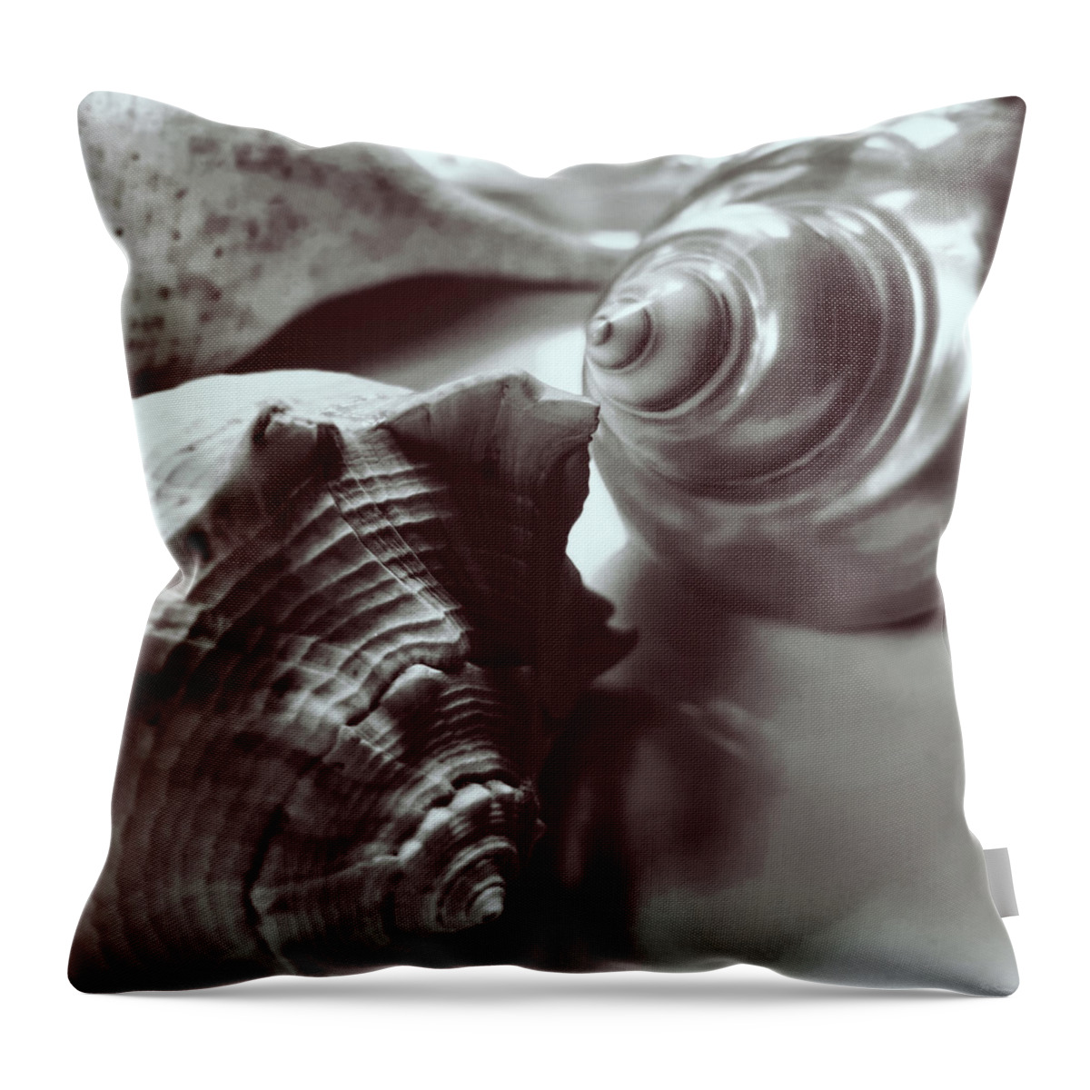 Monochrome Throw Pillow featuring the photograph Three Seashells Darker by Joy Sussman