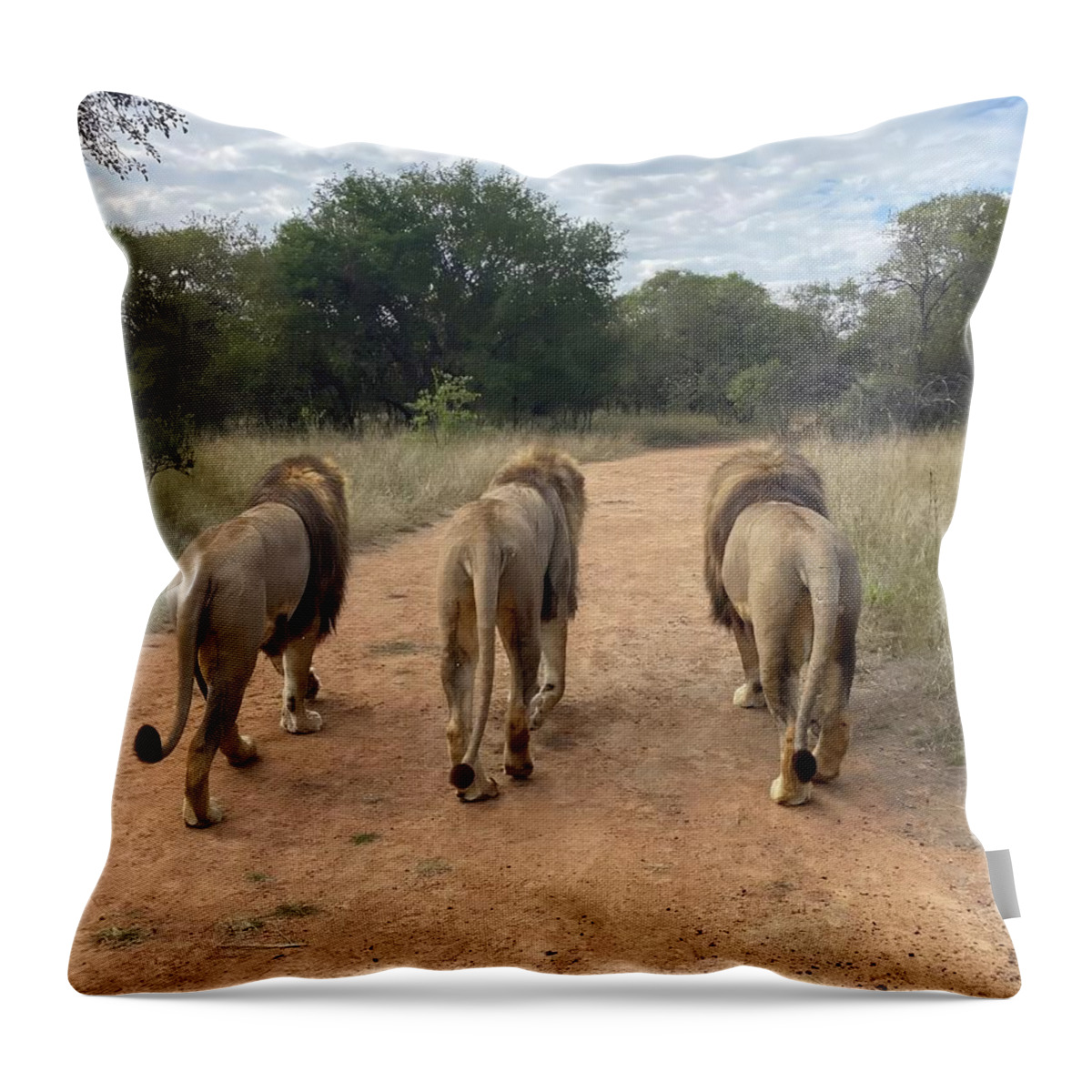  Lons Throw Pillow featuring the photograph Three Walking by M Three Photos