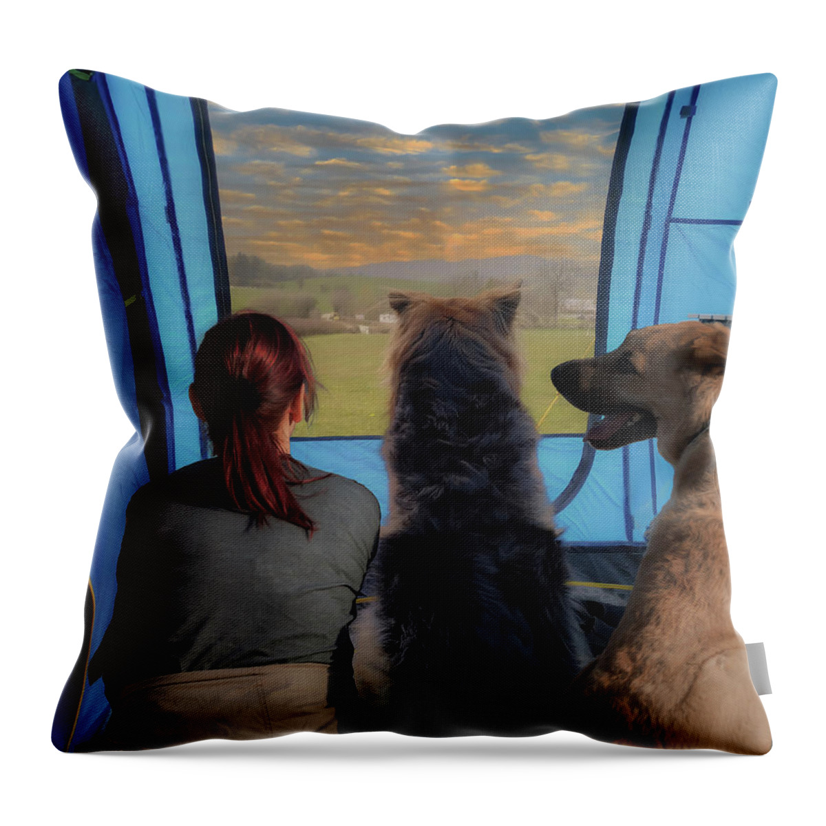  Throw Pillow featuring the photograph Three's a Crowd by Alison Frank