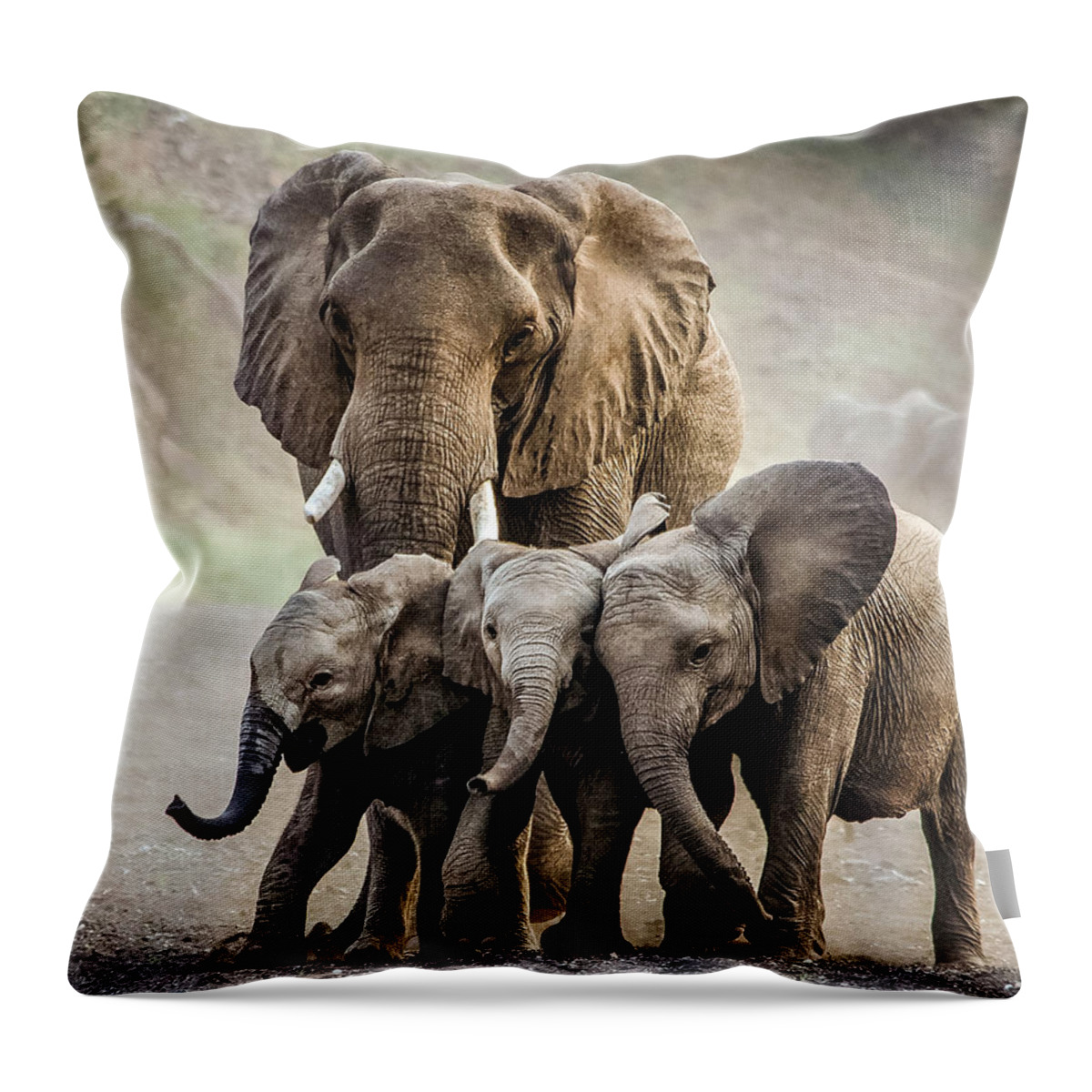 Elephant Throw Pillow featuring the photograph Threes a crowd by Judy Rogero