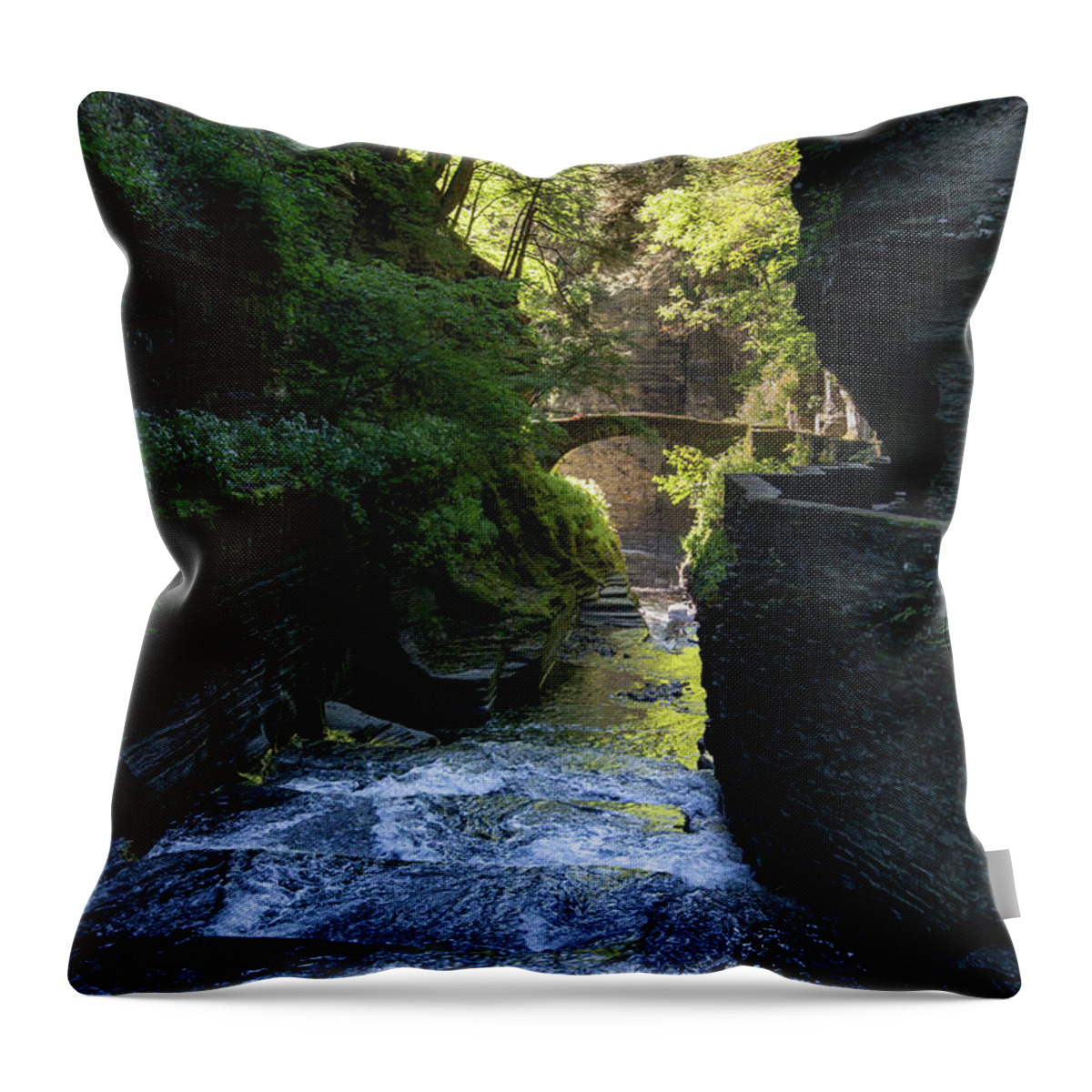 Robert H. Treman State Park Throw Pillow featuring the photograph Through the Gorge 1 by Dimitry Papkov