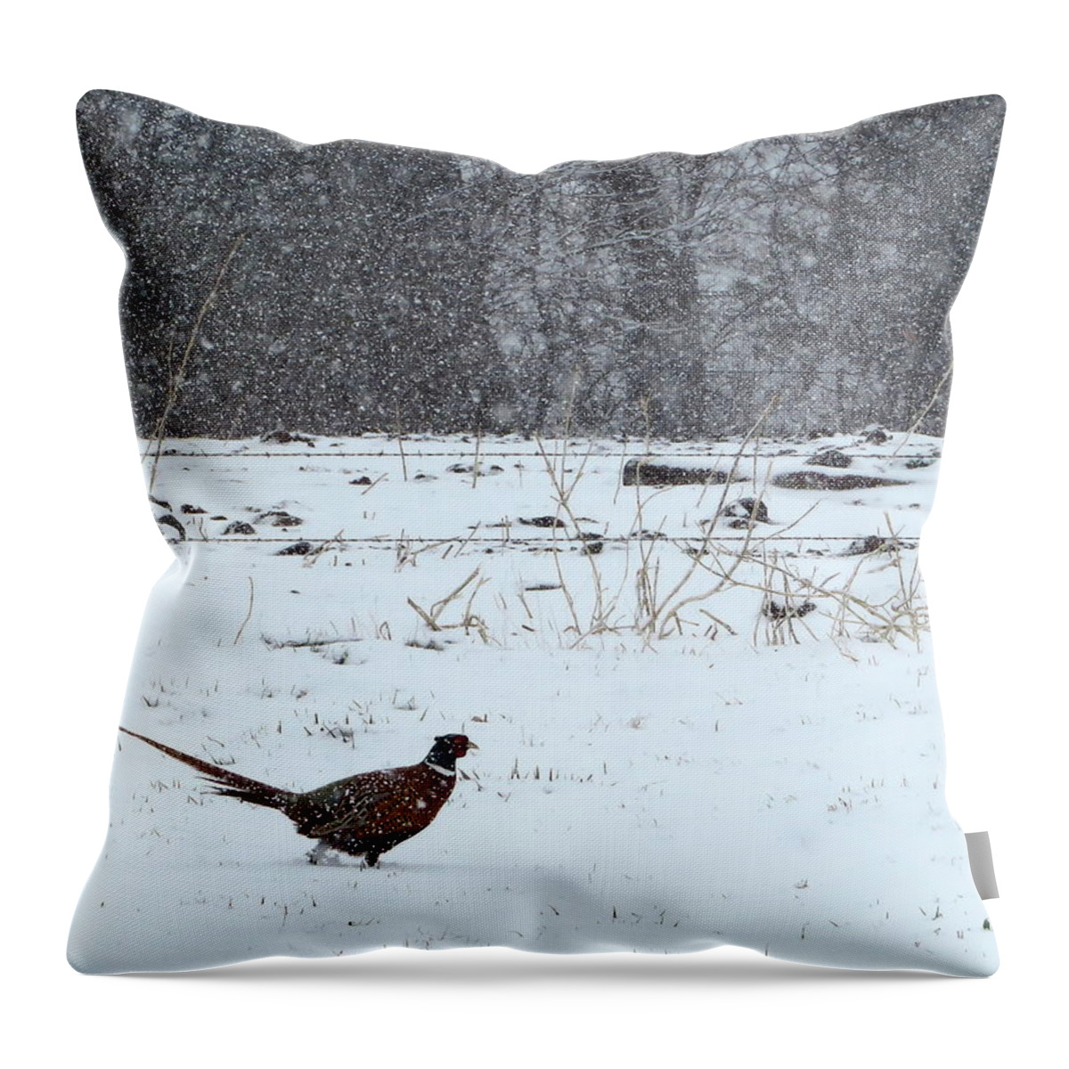 Pheasant Throw Pillow featuring the photograph Through the Storm. by Katie Keenan