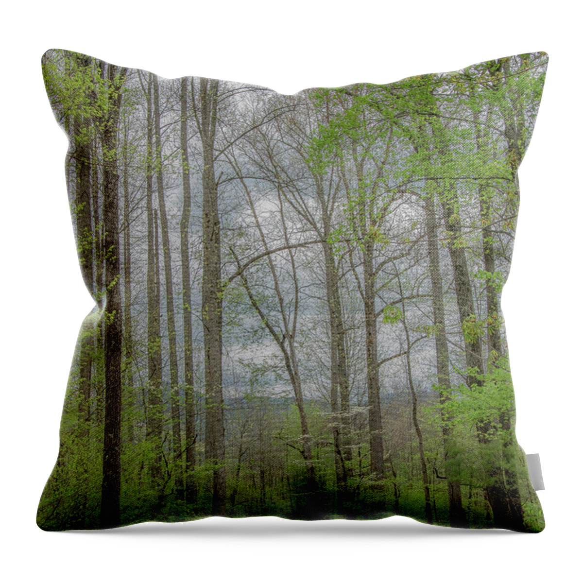Great Smoky Mountains National Park Throw Pillow featuring the photograph Through the Woods in Springtime by Marcy Wielfaert