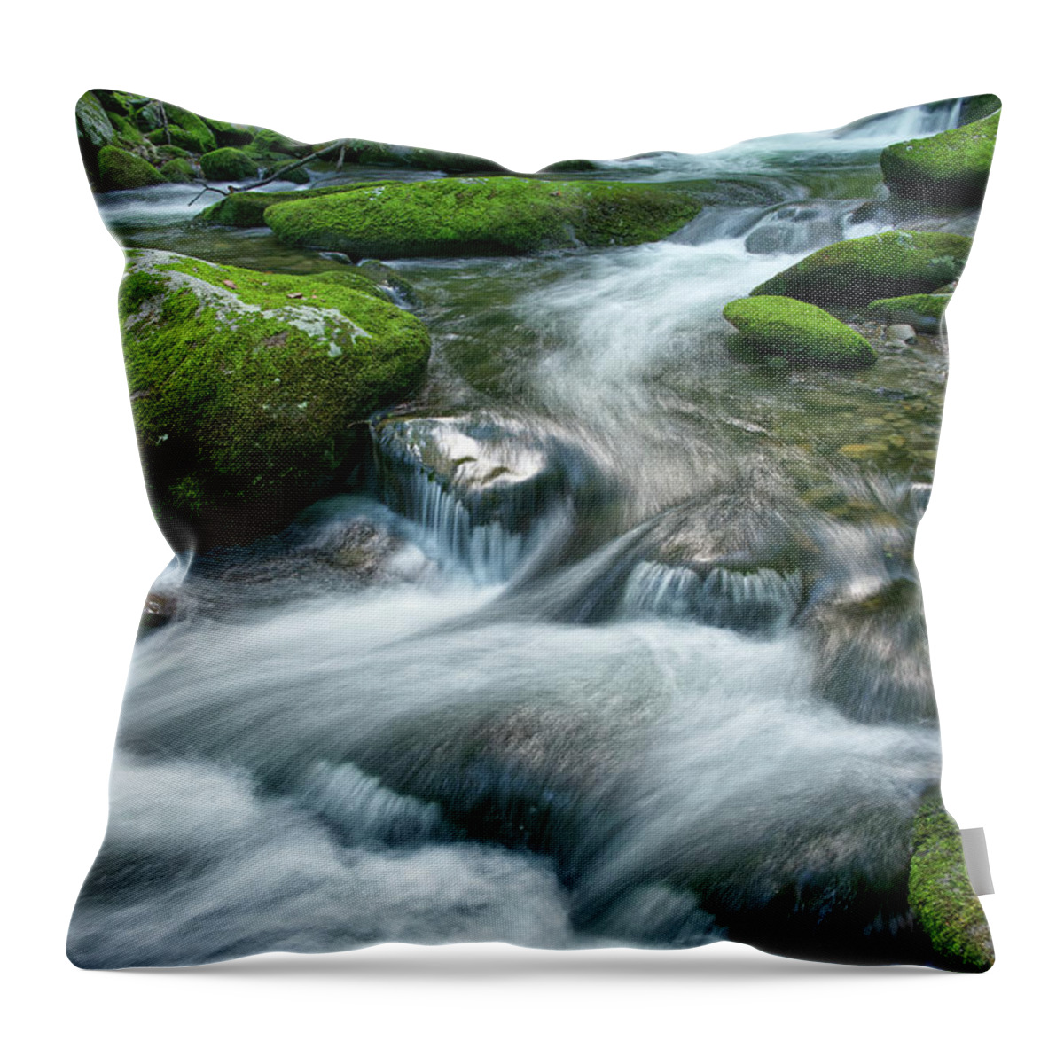 Smoky Mountains Throw Pillow featuring the photograph Thunderhead Prong 16 by Phil Perkins