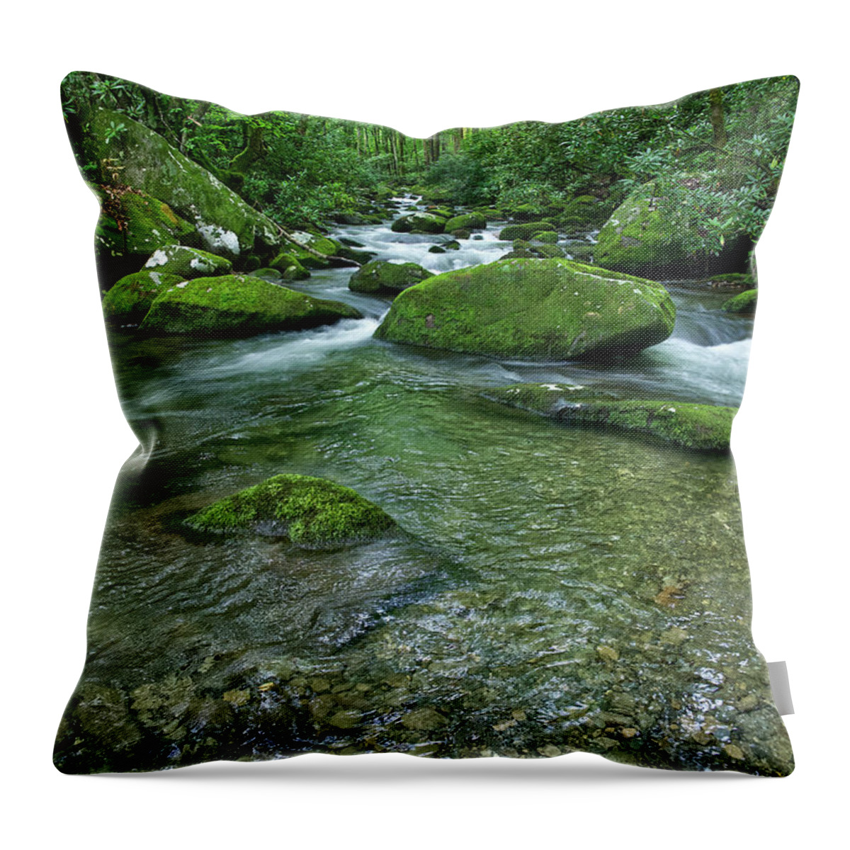 Smoky Mountains Throw Pillow featuring the photograph Thunderhead Prong 20 by Phil Perkins