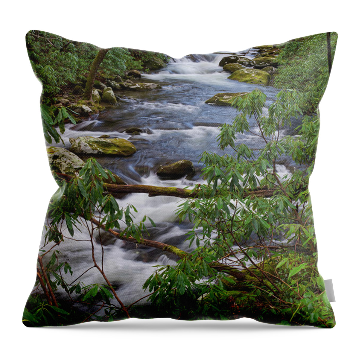 Smoky Mountains Throw Pillow featuring the photograph Thunderhead Prong 31 by Phil Perkins