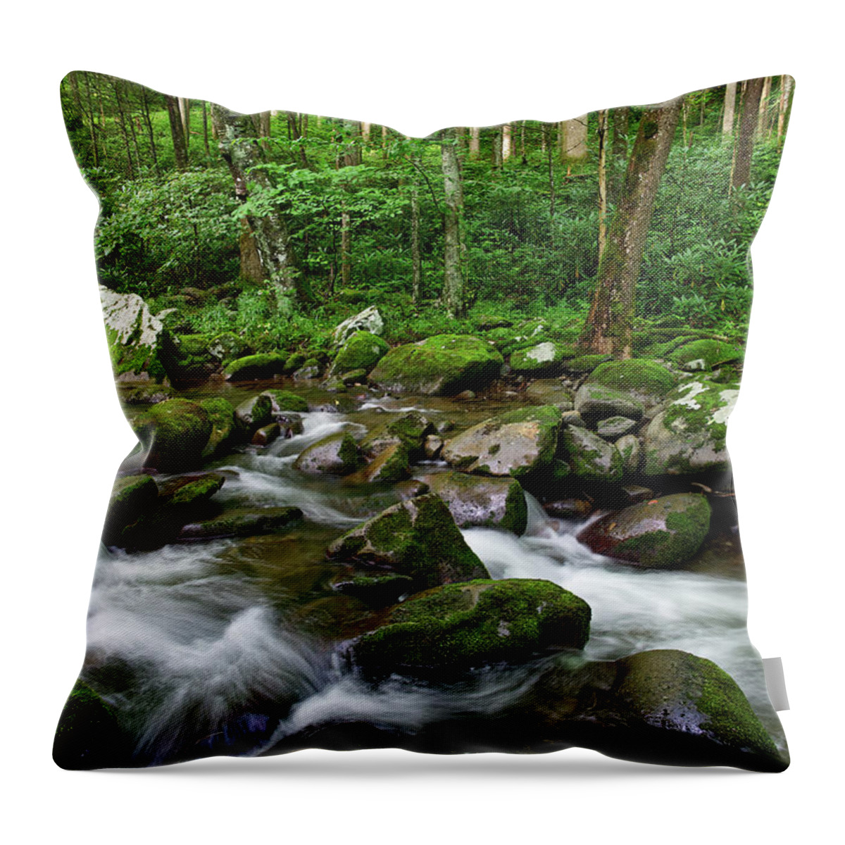 Smoky Mountains Throw Pillow featuring the photograph Thunderhead Prong 6 by Phil Perkins