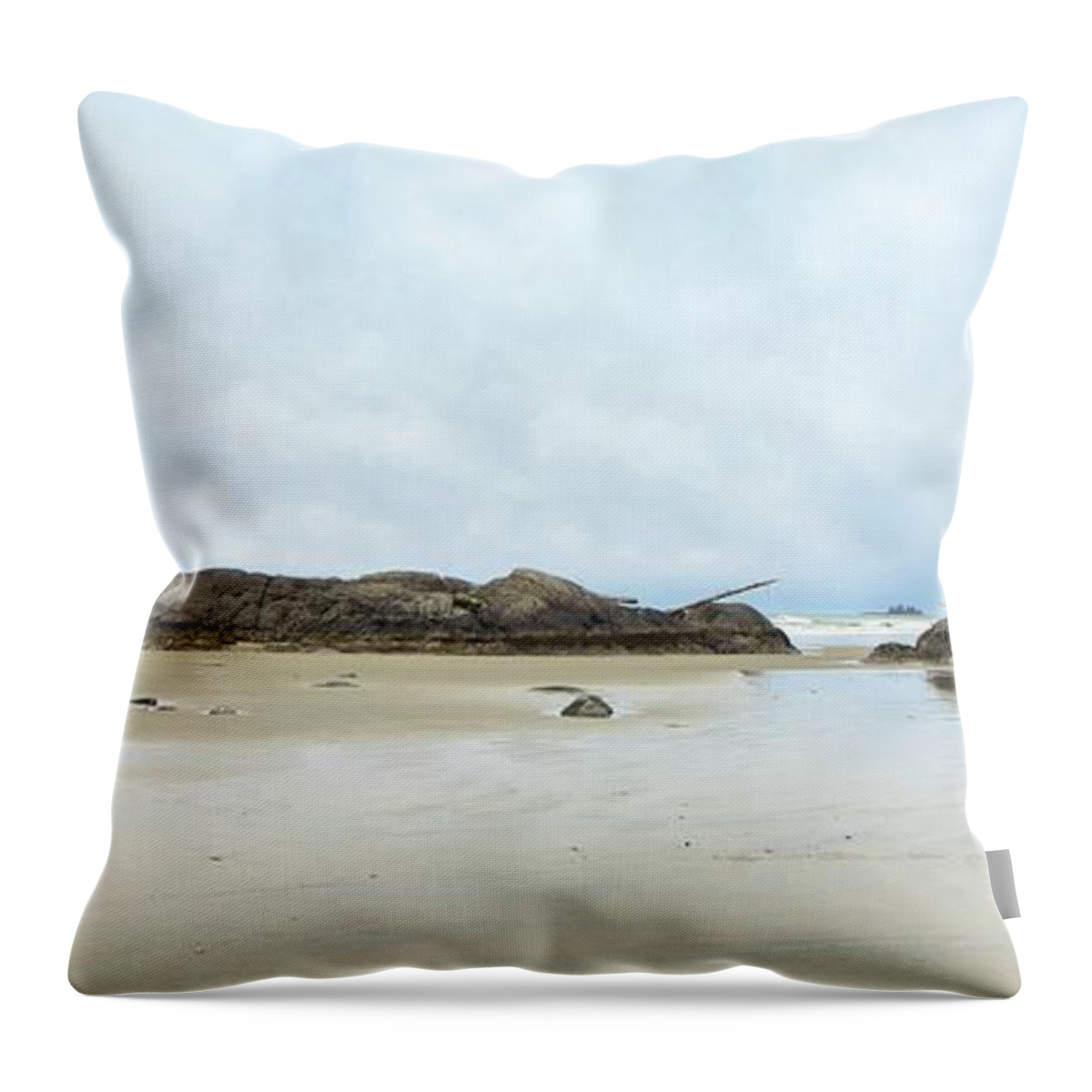 Landscape Throw Pillow featuring the photograph Tidal Stones at Green Point by Allan Van Gasbeck