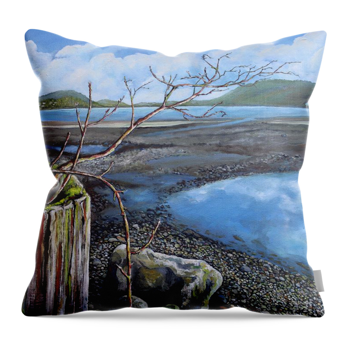 Water Throw Pillow featuring the painting Tidal Zone Summer by Margot Brassil