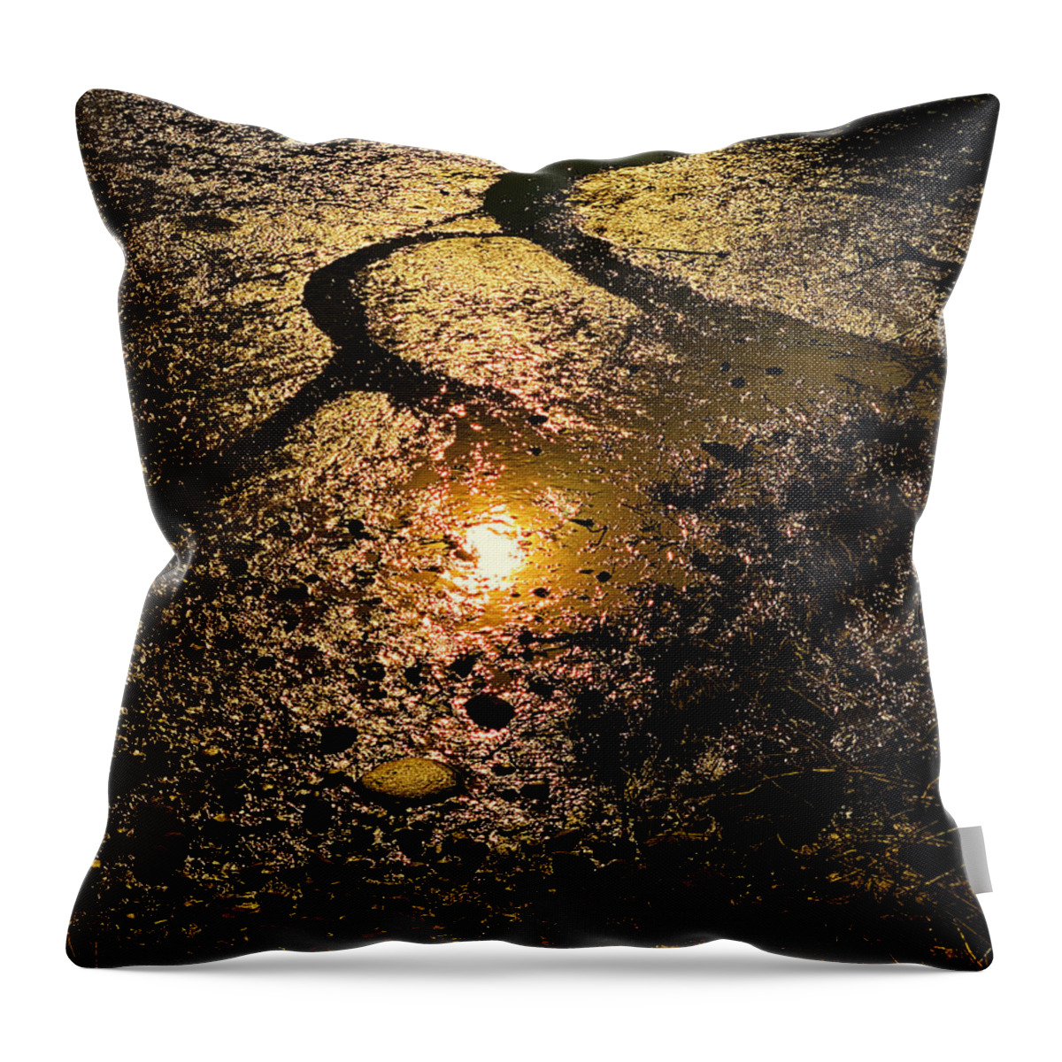 Tide Flats Throw Pillow featuring the photograph Tide Flat Abstract by Jerry Abbott