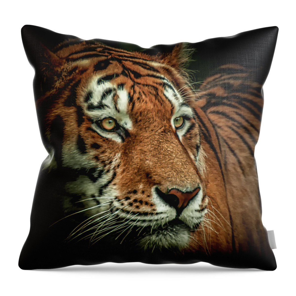 Tiger Throw Pillow featuring the photograph Tiger by Chris Boulton